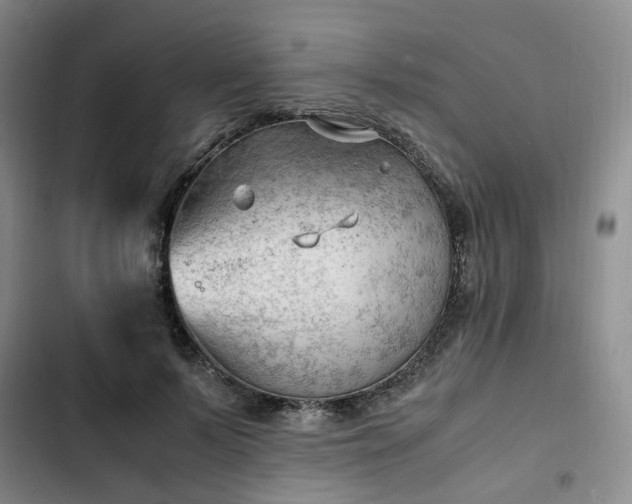 X0000102760695200808251028