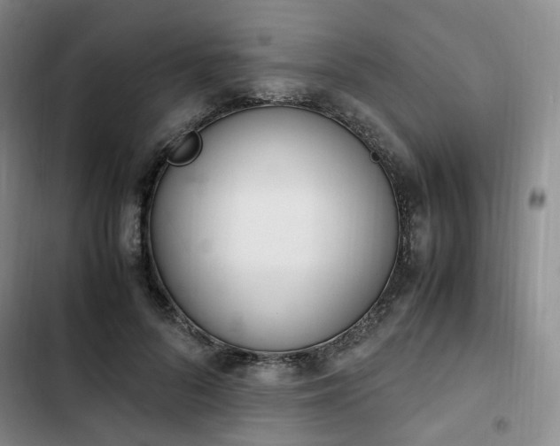 X0000102760696200808251028