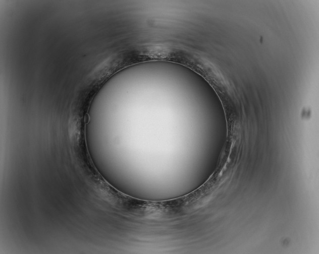 X0000102760697200808251028