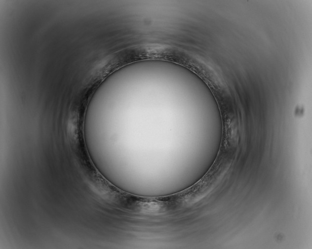 X0000102760698200808251028