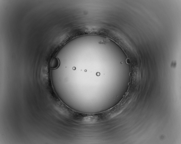 X0000102760700200808251028