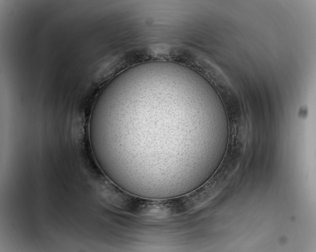 X0000102760702200808251028