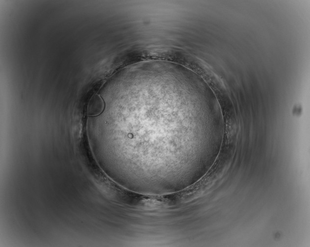 X0000102760703200808251028