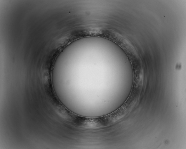 X0000102760704200808251028