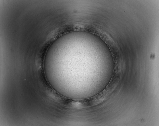 X0000102760706200808251028