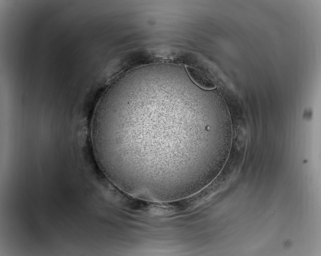 X0000102760707200808251028