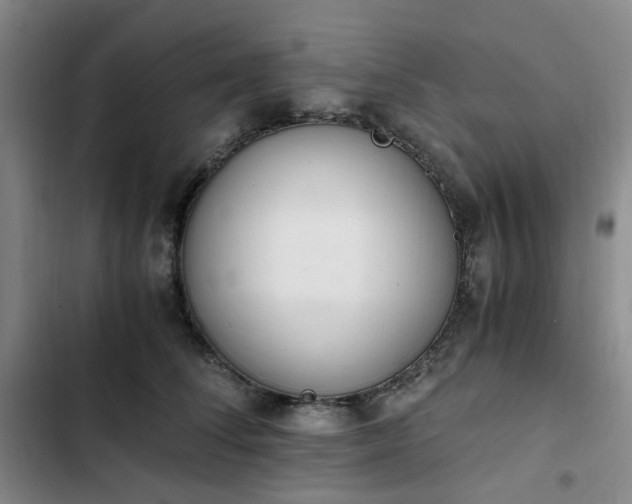 X0000102760708200808251028