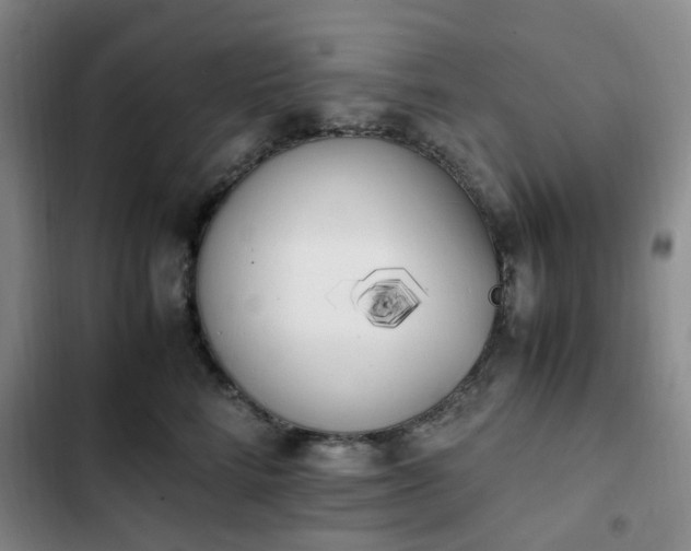 X0000102760712200808251028