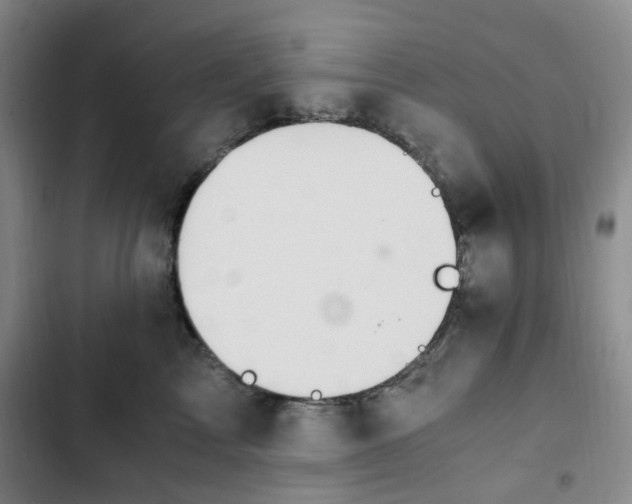 X0000102760713200808251028