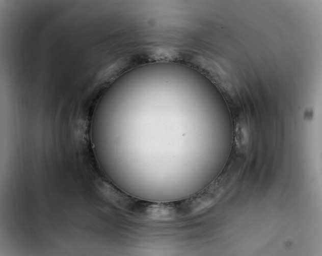 X0000102760714200808251028