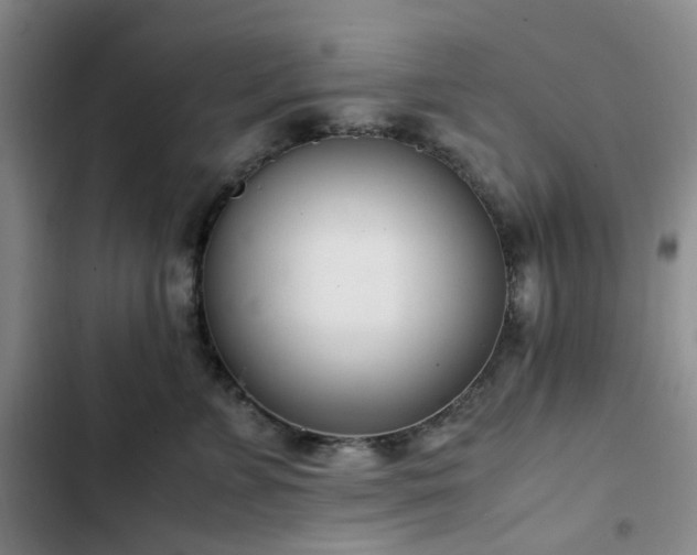 X0000102760715200808251028