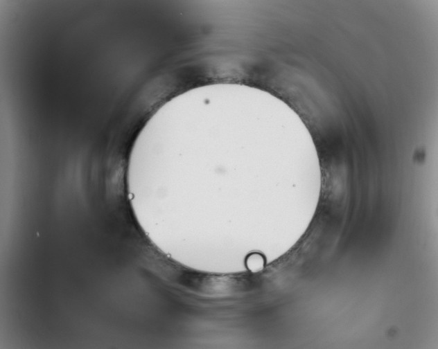 X0000102760717200808251028