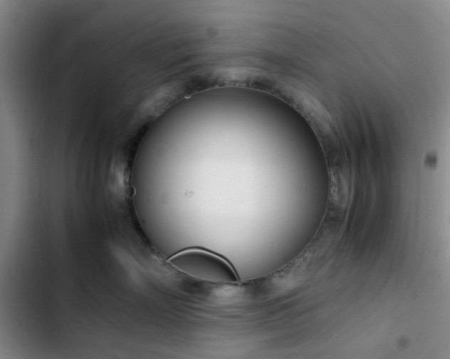 X0000102760718200808251028