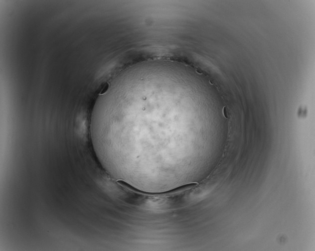 X0000102760720200808251028