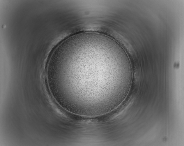 X0000102760721200808251027