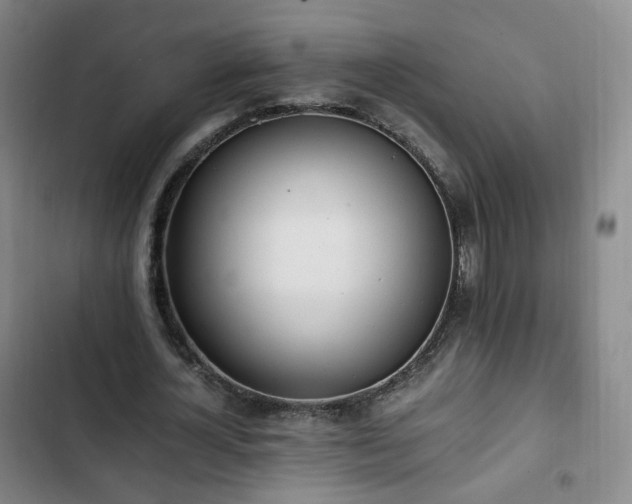 X0000102760724200808251027