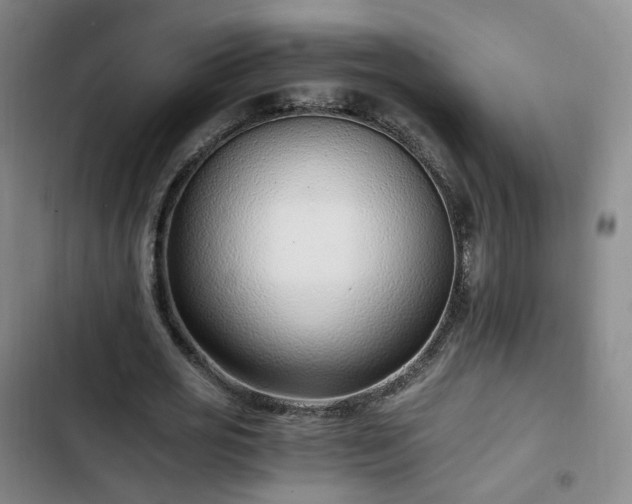 X0000102760725200808251028