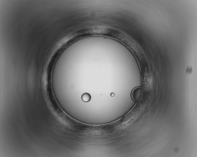 X0000102760726200808251028