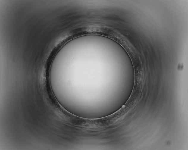 X0000102760727200808251028