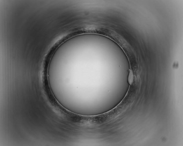 X0000102760728200808251028