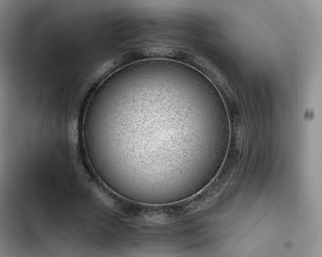 X0000102760729200808251028