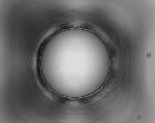 X0000102760730200808251028