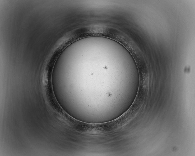 X0000102760731200808251028