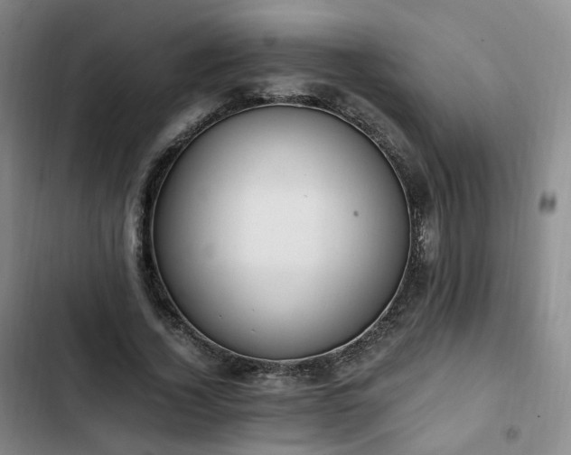 X0000102760732200808251028