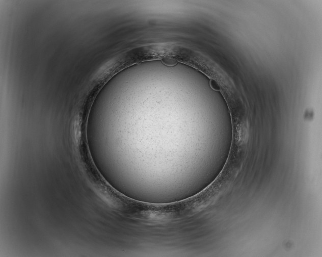 X0000102760733200808251028