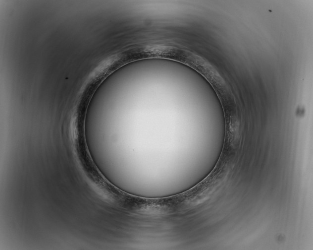 X0000102760734200808251028