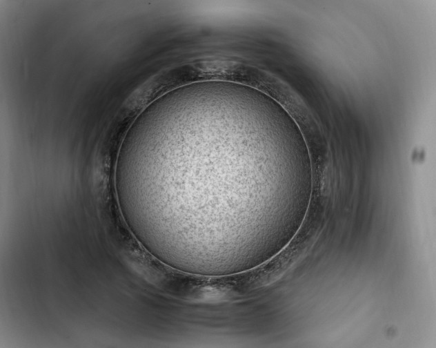 X0000102760737200808251028