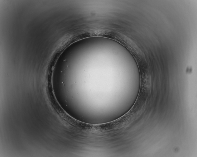 X0000102760738200808251028