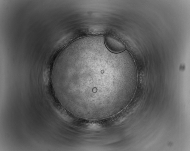 X0000102760741200808251028