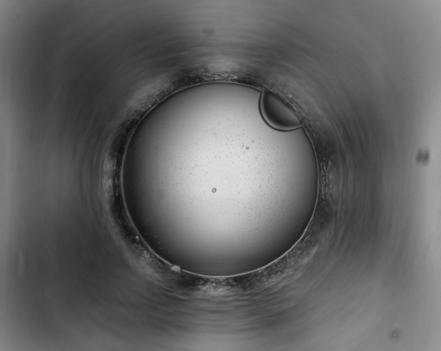 X0000102760742200808251028