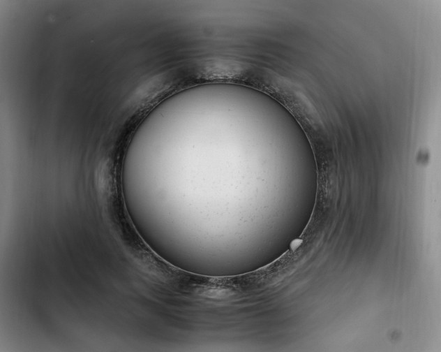 X0000102760743200808251028