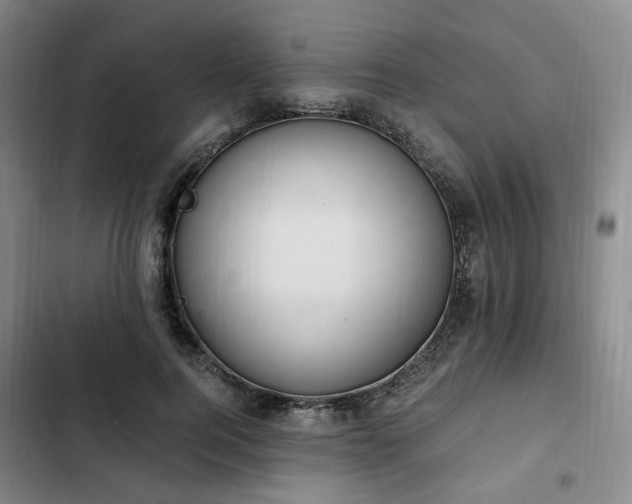 X0000102760744200808251028