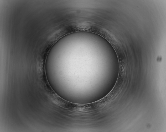 X0000102760745200808251028