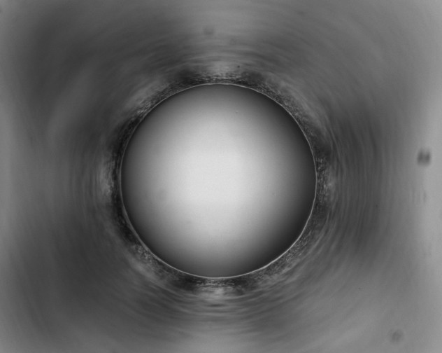 X0000102760746200808251028