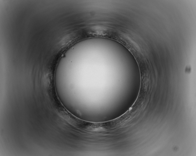 X0000102760747200808251028