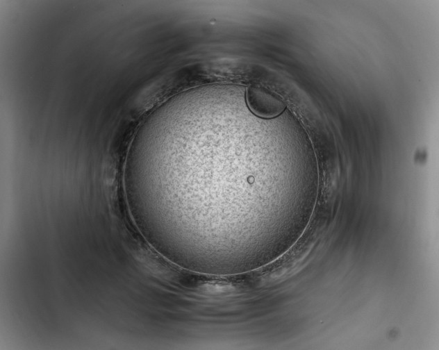 X0000102760749200808251028