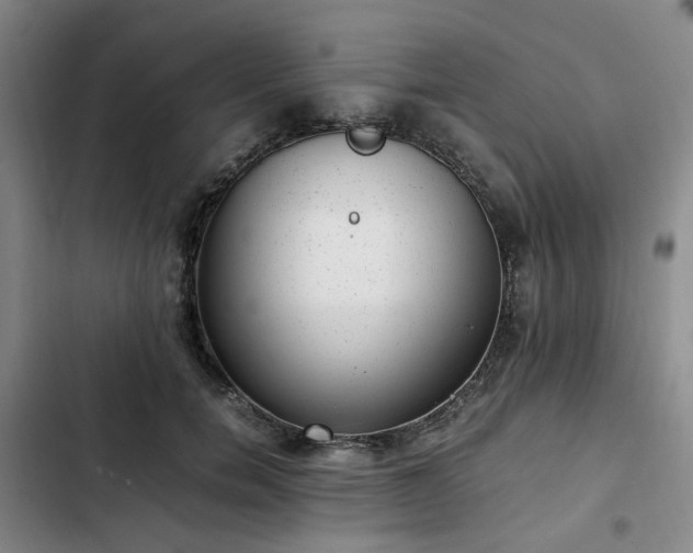 X0000102760750200808251028