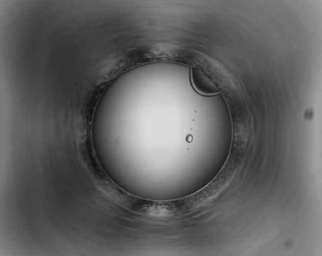 X0000102760751200808251028