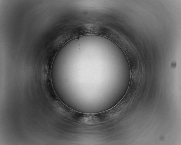 X0000102760752200808251028