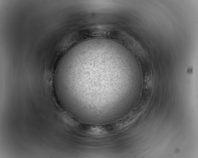 X0000102760753200808251028