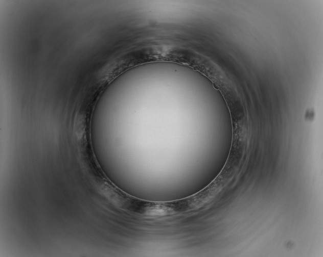 X0000102760754200808251028