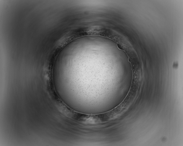 X0000102760755200808251028