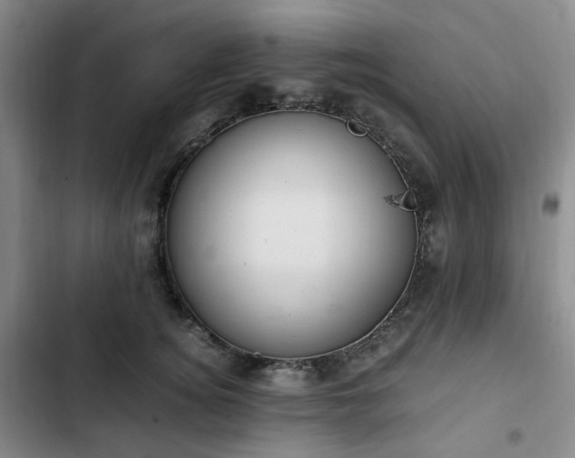 X0000102760756200808251028