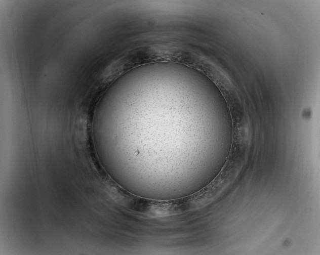 X0000102760757200808251028