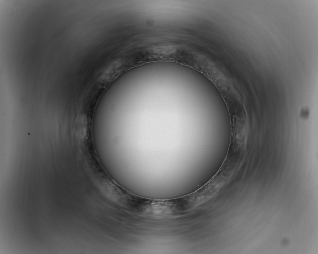 X0000102760758200808251028