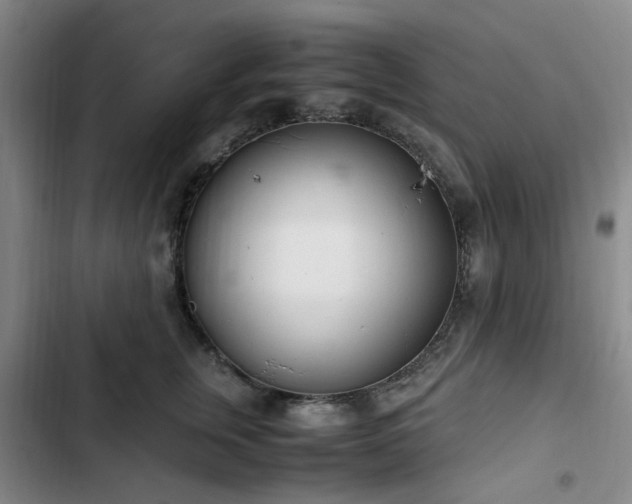 X0000102760759200808251028